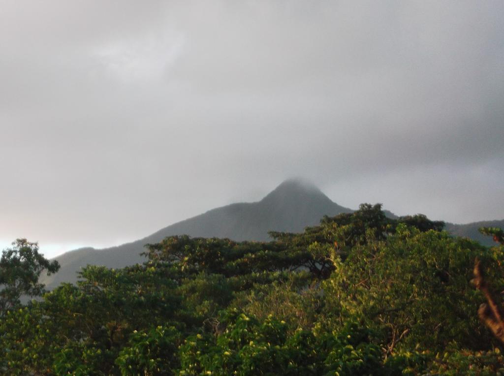 Tanna Lava View Bungalows Isaka Room photo